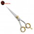   Color Coated Hair Cutting Barber Scissors -  Coin Surgical